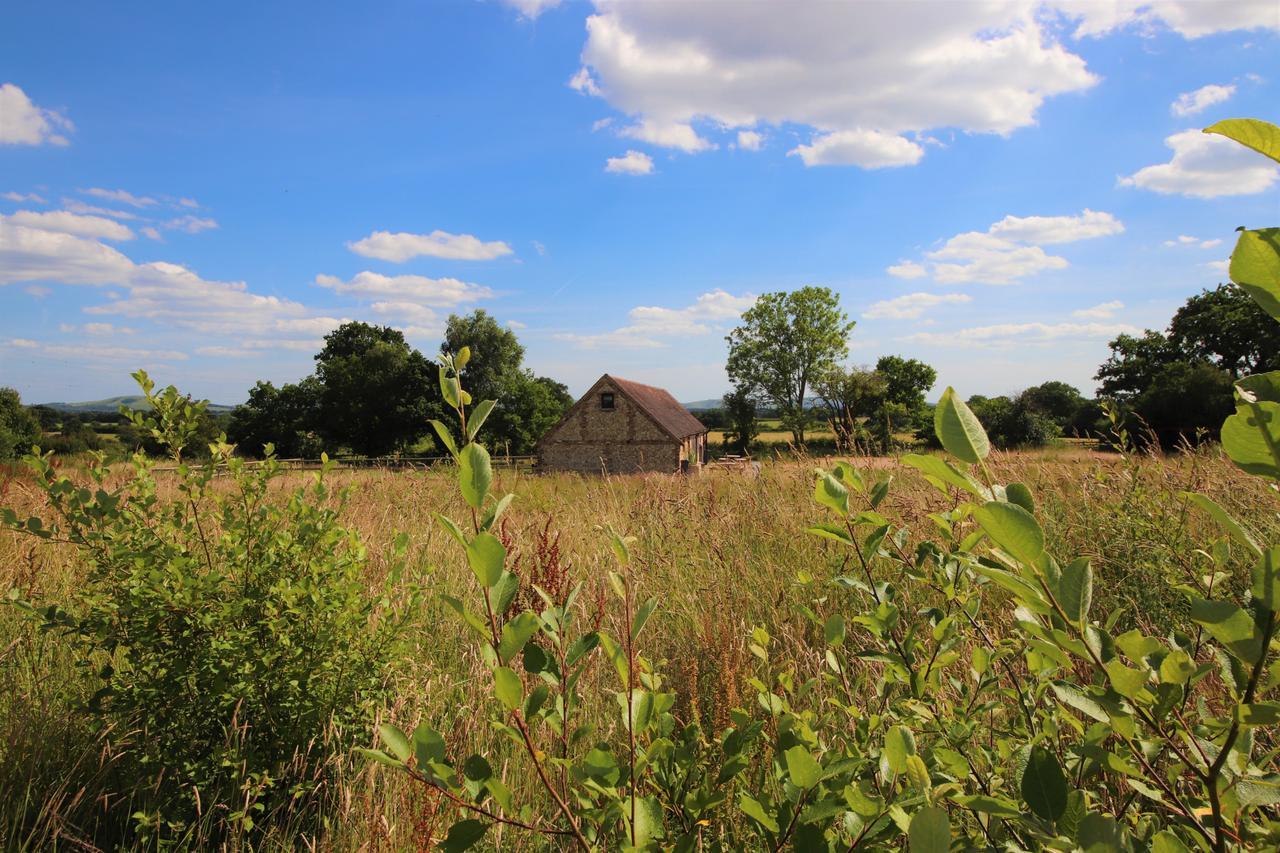 North Cottage - Country Retreat In The Heart Of Sussex -Twineham Eksteriør bilde
